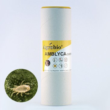 AmblycaControl - Neoseiulus californicus - 25.000 predatory mites