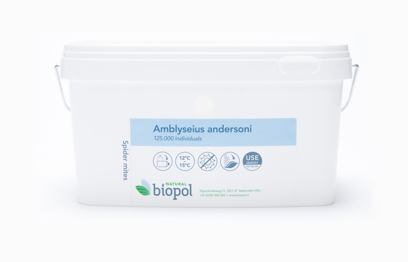 Amblyseius andersoni (125.000 individuals) - 125.000 predatory mites