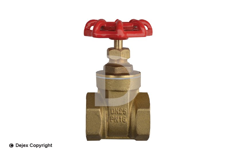 2" GATE VALVE (16BAR)