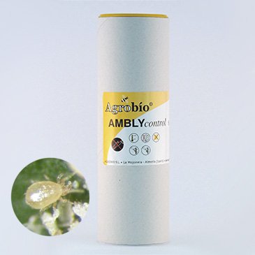 AmblyControl - Neoseiulus cucumeris - 500 sachets / 1.000 predatory mites / 500.000