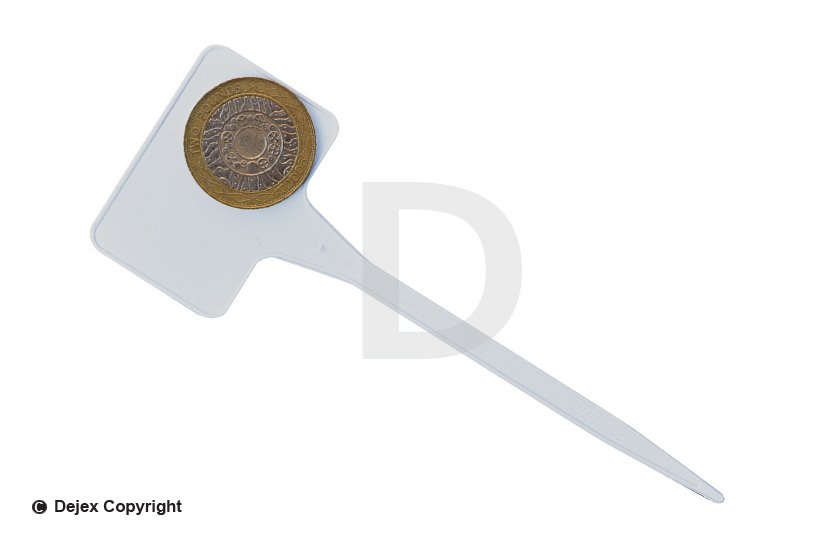 15cm WHITE T LABELS (SL135)