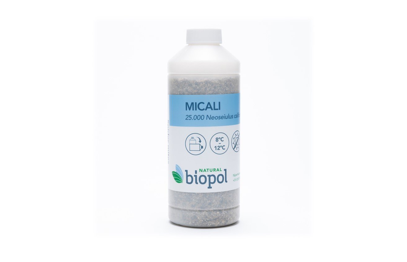 MICALI (Neoseiulus californicus) - 25.000 predatory mites