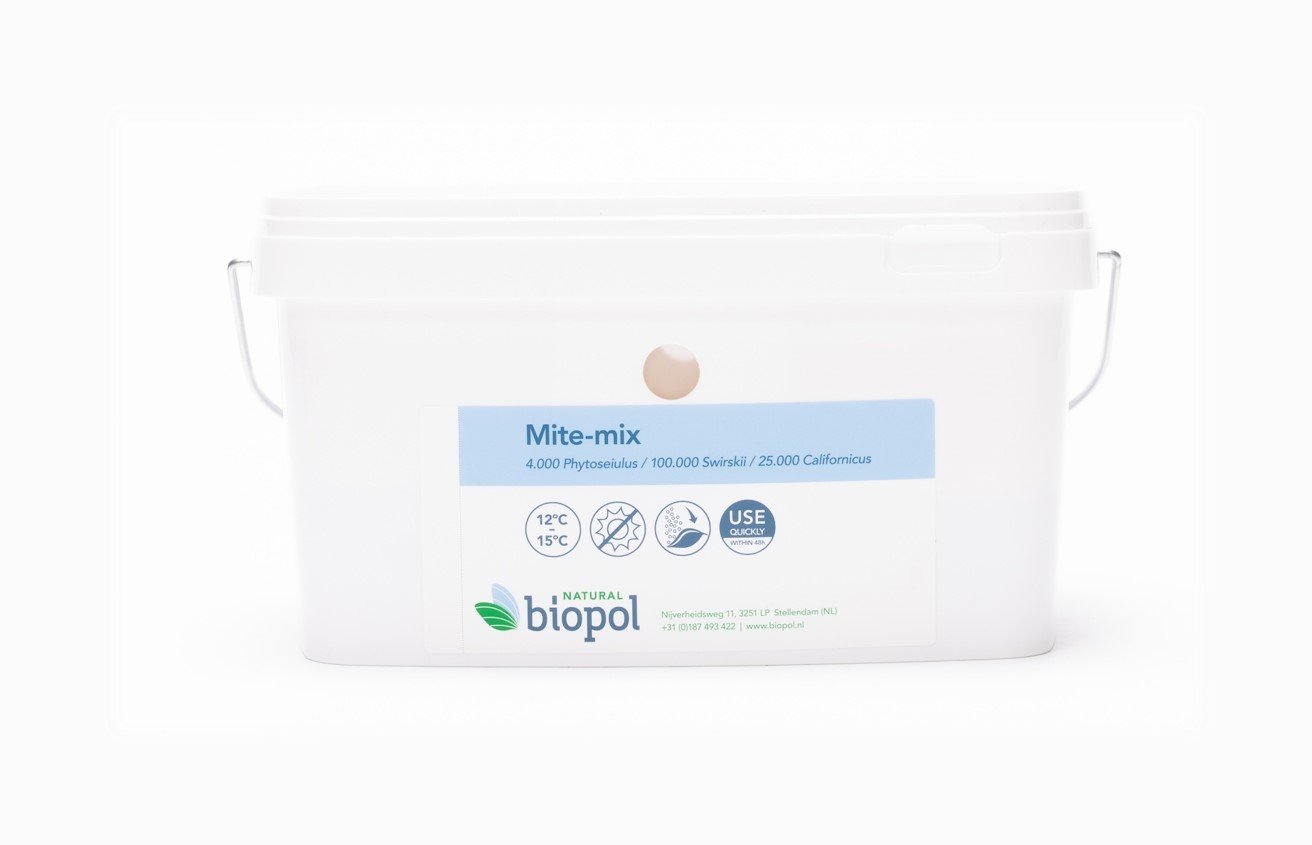 Mite-mix (Phytoseiulus / Swirskii / Californicus) - 130.000 predatory mites