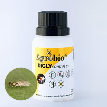 DiglyControl - Diglyphus isaea - 500 adults