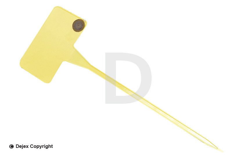 53cm YELLOW ANGLED HEAD LABELS (SL500)