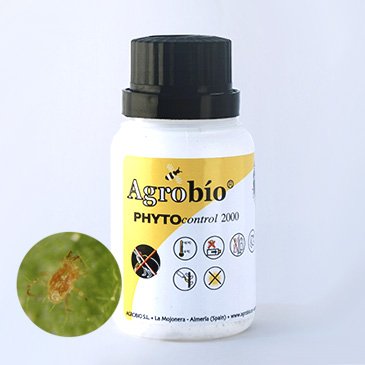 PhytoControl - Phytoseiulus persimilis - 2.000 predatory mites 
