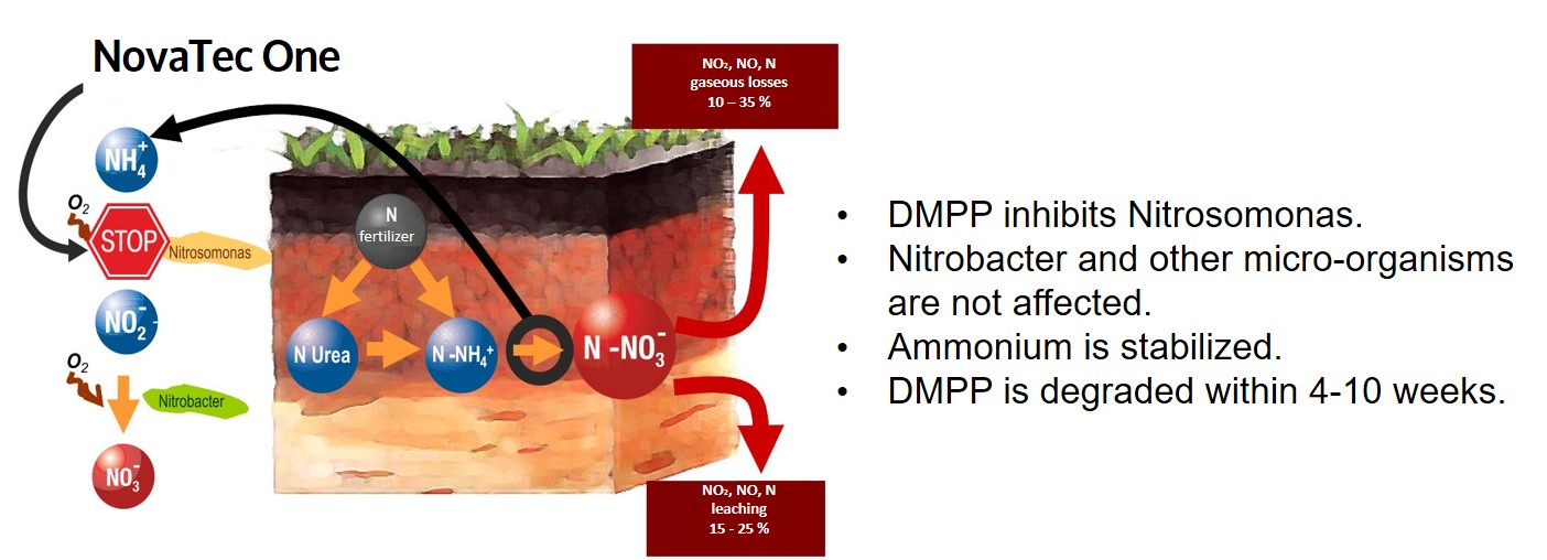 Nitrification Inhibitor mode of action